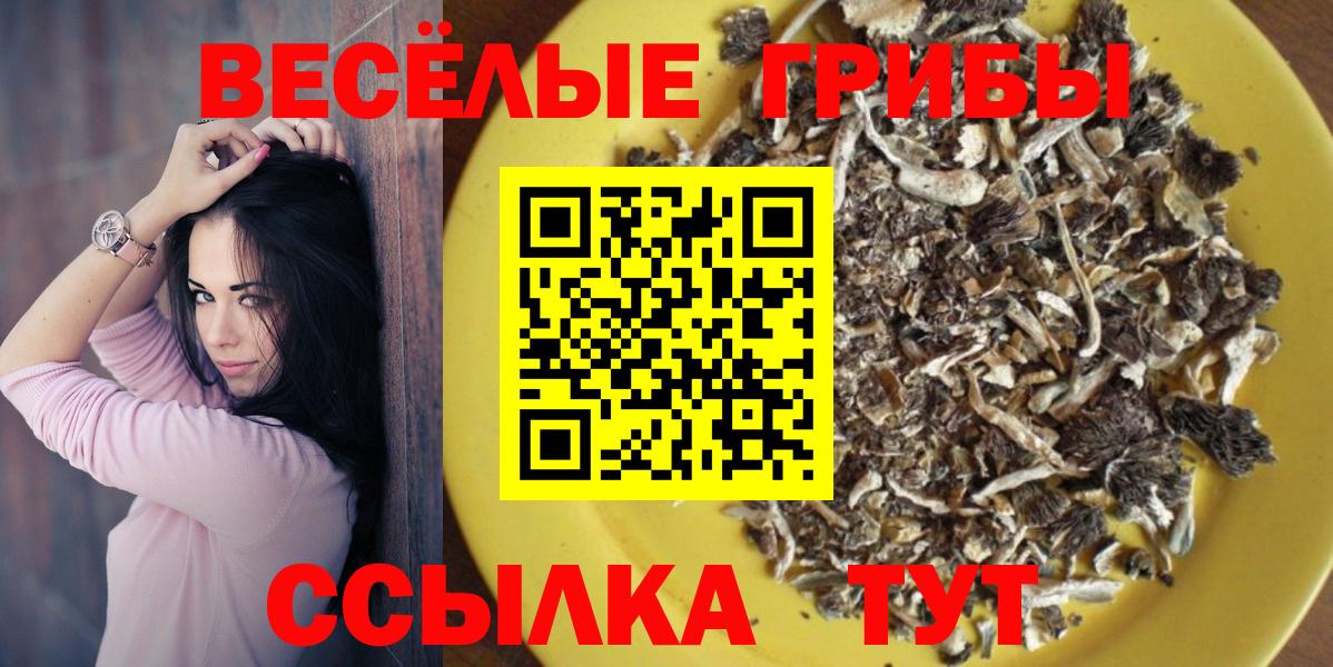 Галлюциногенные грибы Magic Shrooms Элиста