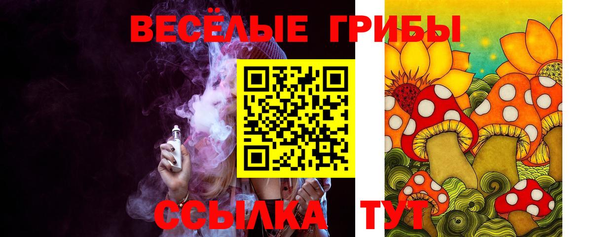 Псилоцибиновые грибы Psilocybine cubensis  Псилоцибиновые грибы прущие грибы  Вход с VPN  Элиста 